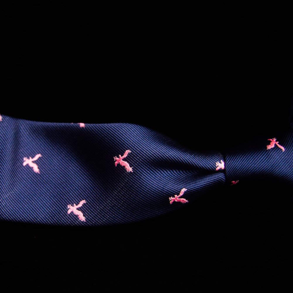 American Eagle - Men's Navy Embroidered Eagle Neck Tie 2.6"W x 59"L